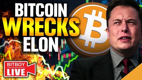 Bitcoin WRECKS Elon (Crypto Bull Trap WARNING!)