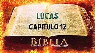 Bíblia Sagrada Lucas CAP 12