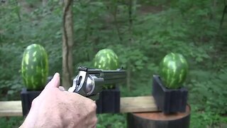 500 Magnum vs Watermelons