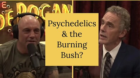 Rogan & Jordan Peterson on the Burning Bush