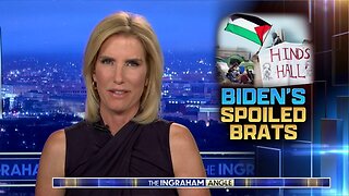 Laura Ingraham: Everything You're Seeing Is The Result Of The Liberal Establishment