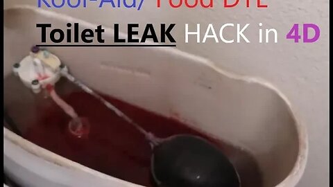 TOP bizarre home hacks TOILET Leak#1 | D.I.Y in 4D