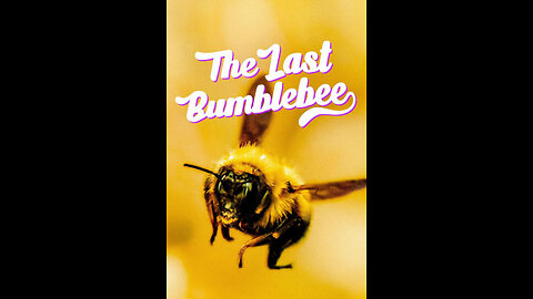 THE LAST BUMBLEBEE