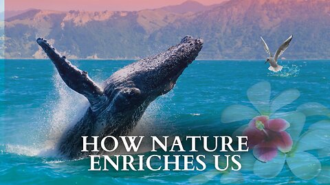 RFK Jr.: How Nature Enriches Us