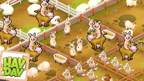 Hay Day: The Exciting Adventure of Riding Pigs