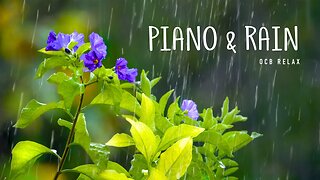 Relaxing Music & Soft Rain: Sleep Music, Calm Piano Music, Healing Music, Peaceful Music ★149