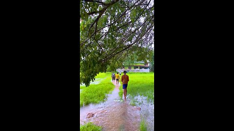 Monsoon views in villages❤️‍🔥