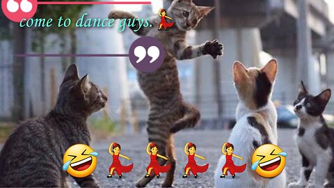 Funny Cat Fails_ The Most Hilarious Cat Videos
