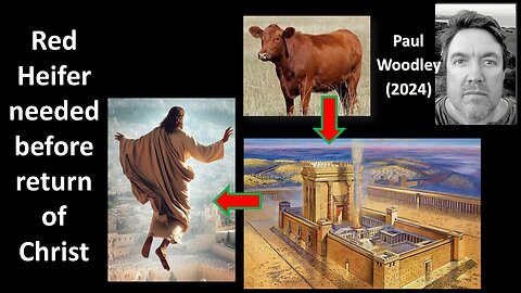 Red Heifer sacrifice before return of Christ - Numbers 19