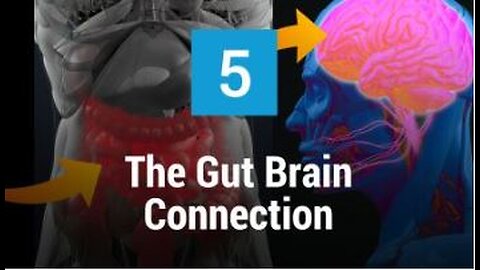 Autoimmune Secrets Episode 5: The Gut Brain Connection
