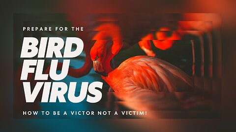 PREPARE FOR THE BIRD FLU VIRUS | HOW TO BE A VICTOR NOT A VICTIM