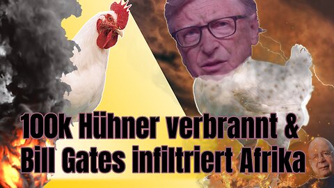 100'000 Hühner verbrannt und Bill Gates in Afrika - Hungersnot in Kenia