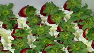 Strawberry industry and festival provide economic boost to the Tampa Bay area