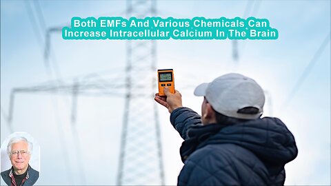 Both EMFs And Various Chemicals Can Act To Increase Intracellular Calcium In The Developing Brain