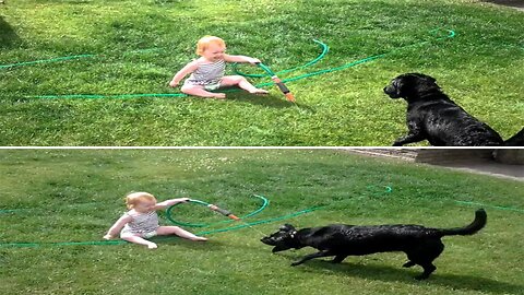 So Much Fun: Baby and Dog's Playtime