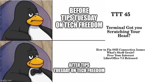 TTT 45: Wonder Which Command to Use in the Terminal? This And More...