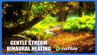 Relaxing Music Over Gentle Stream Of Water, Binaural Music, Binaural Healing