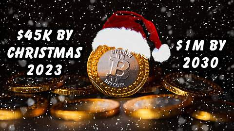 ₿itcoin Price Could Reach $45K by Christmas & $1M by 2030! 📈🤑