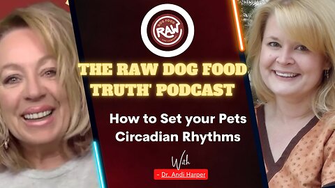 How to Set your Pets Circadian Rhythms