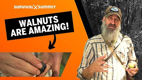 The Black Walnut Is An Amazing Gift Of Nature | The Survival Summit