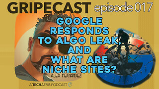 GripeCast Episode 017 — Google Responds | What Are Niche Websites?