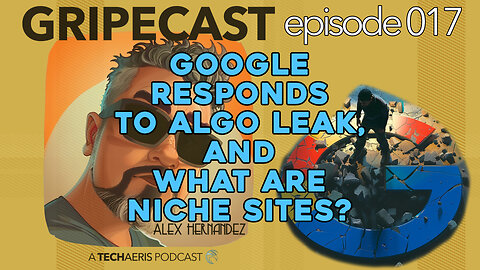 GripeCast Episode 017 — Google Responds | What Are Niche Websites?