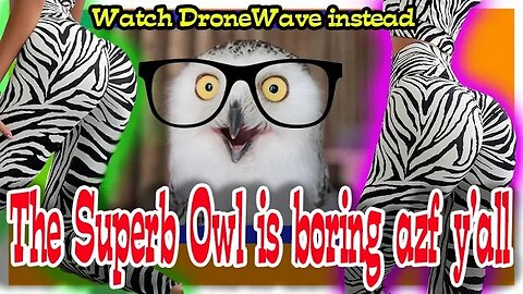 Watch this and subscribe to DroneWave