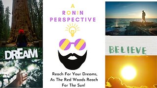 Reach For Your Dreams, As The Red Woods Reach For The Sun! #mindset #mindfulness #shortvideo #life