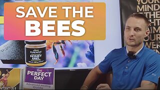 SAVE THE BEES , SAVE THE WORLD PART 4