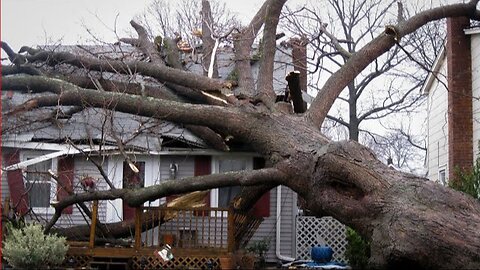 Crazy Tree Felling Fails | Tree Falls Onto Houses And Trucks