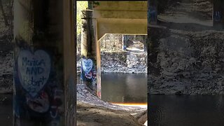 Beneath the Graffitti Bridge to Nowhere 6 #shorts