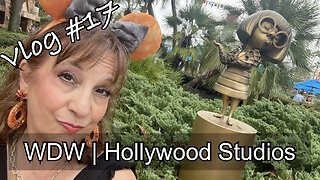 Vlog #17 - Hollywood Studios