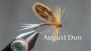 August Dun (a trout fly from Favorite Flies and Their Histories -1892- by Mary Orvis Marbury)