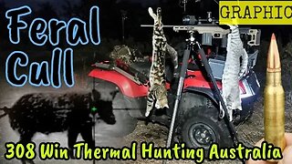 Shooting Feral Pigs Cats & Foxes || 308 Winchester Australia || Pulsar Thermion 2 XP50 Scope