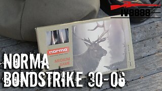 Norma Bondstrike 180gr 30-06