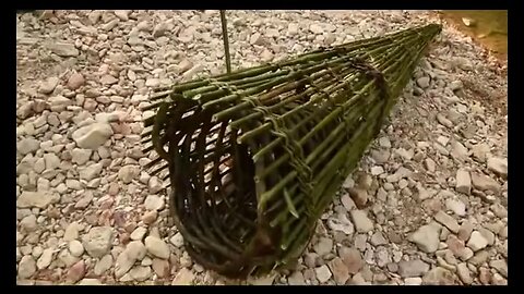 PRIMITIVE SURVIVAL, Twined Fish Trap - Catching and Providing Fish Long Term