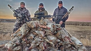 Coyote Hunting - 15 Thermal Kills