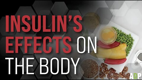 INSULIN EFFECTS ON YOUR BODY