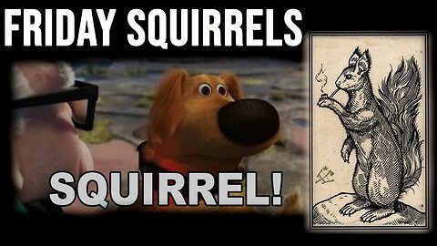 Friday SQUIRRELS!