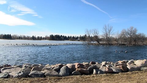 Storm Pond Dangers | Friday, February 10, 2022 | Angela Stewart | Bridge City News