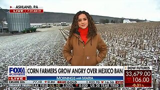 Mexico ban on genetically modified corn could 'corn-er' the US market