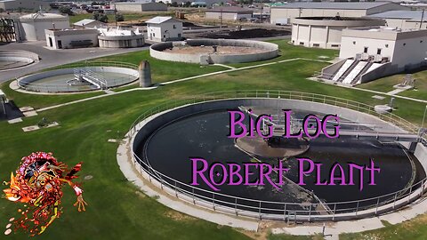 Big Log Robert Plant