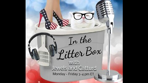 UFO's and Train Derailments - In the Litter Box w/ Jewels & Catturd 2/13/2023 - Ep. 265