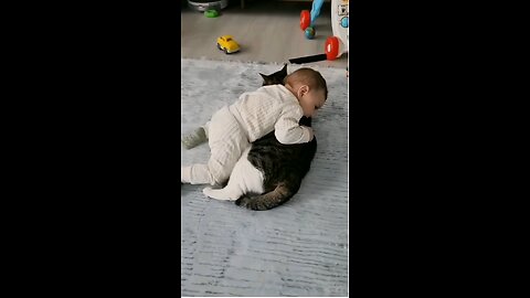 Tiny Terrors Battle | 😹👶 Hilarious Cat vs Toddler Showdown