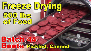 Freeze Drying Your First 500 lbs of Food - Batch 44 - Beets, Canned, Pickled