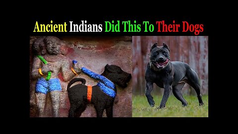 Dogs Reveal That All Ancient Civilizations Followed ONE Religion?
