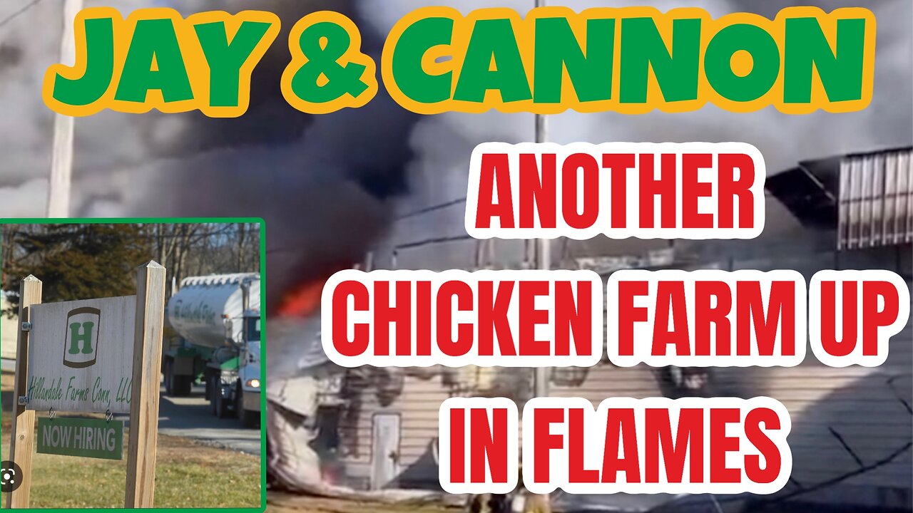 JAY & CANNON Another Egg Farm Up In Flames