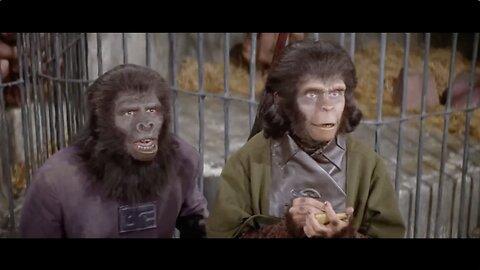 La planète des singes film 1968