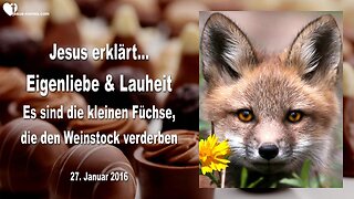 27.01.2016 ❤️ Jesus erklärt Eigenliebe und Lauheit... Die kleinen Füchse verderben den Weinstock