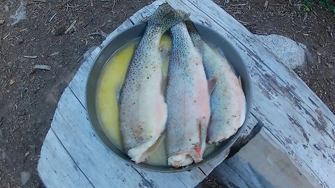 Overnight in Grizzly Bear Country | Cutthroat Trout Catch Clean Cook